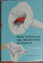 Cover art for How to follow the adventures of insects