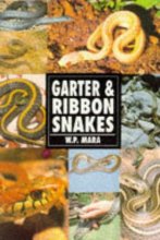 Cover art for Garter and Ribbon Snakes
