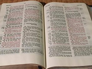 Cover art for The Ryrie Study Blble: KJV 1978 Black Spanish Bonded Leather VG