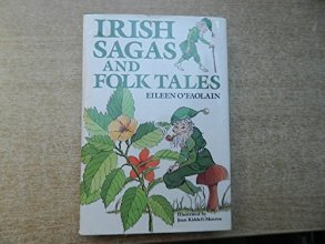 Cover art for Irish Sagas and Folk Tales