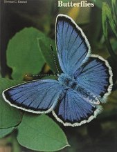 Cover art for Butterflies, their world, their life cycle, their behavior