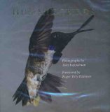 Cover art for Hummingbirds