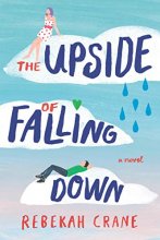 Cover art for The Upside of Falling Down