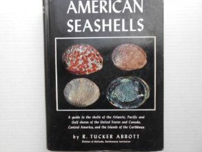 Cover art for American Seashells