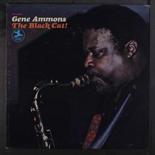 Cover art for The Black Cat!