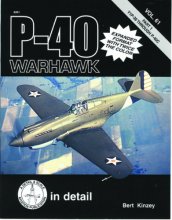 Cover art for P-40 Warhawk Vol. 61