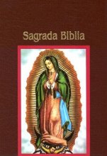 Cover art for Sagrada Biblia Nueva/new Guadalupana Study Bible: Edicion Guadalupana Para Estudio, Vino