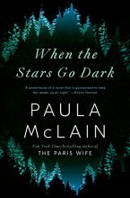 Cover art for When the Stars Go Dark: A Novel