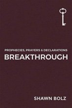 Cover art for Breakthrough (1) (Prophecies, Prayers & Declarations)