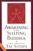 Cover art for Awakening the Sleeping Buddha