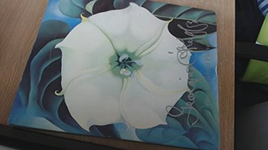 Cover art for Georgia O'Keeffe: One Hundred Flowers