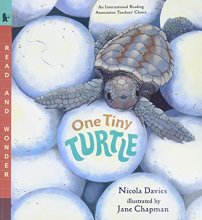 Cover art for One Tiny Turtle: Read and Wonder