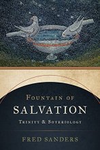 Cover art for Fountain of Salvation: Trinity and Soteriology