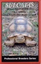 Cover art for Sulcatas: African Spurred Tortoises in Captivity (Professional Breeders Series)