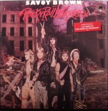 Cover art for Rock N' Roll Warriors [LP]