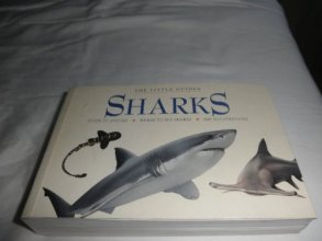 Cover art for Sharks (Little Guides)