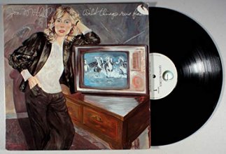 Cover art for Wild Things Run Fast