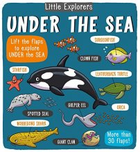 Cover art for Little Explorers: Under the Sea