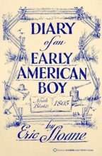Cover art for Diary of an Early American Boy