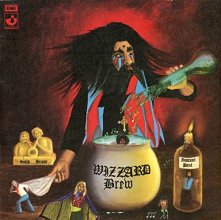 Cover art for wizzard brew LP