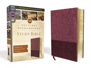 Cover art for NRSV, Cultural Backgrounds Study Bible, Leathersoft, Burgundy, Comfort Print: Bringing to Life the Ancient World of Scripture