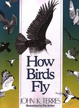 Cover art for How Birds Fly