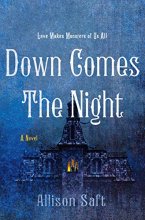Cover art for Down Comes the Night: A Novel
