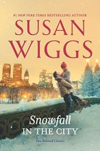 Cover art for Snowfall in the City