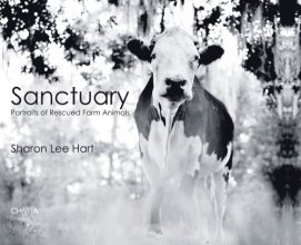 Cover art for Sharon Lee Hart: Sanctuary: Portraits of Rescued Farm Animals