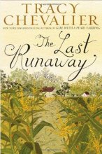 Cover art for The Last Runaway