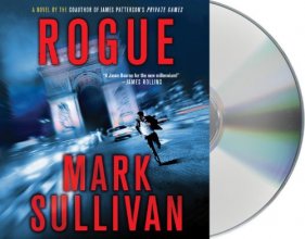 Cover art for Rogue (Robin Monarch Thrillers)