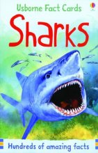 Cover art for Sharks (Usborne Fact Cards)