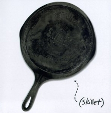 Cover art for Skillet