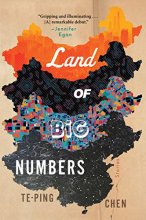 Cover art for Land of Big Numbers: Stories