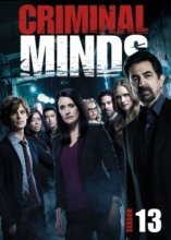 Cover art for Criminal Minds: The Thirteenth Season