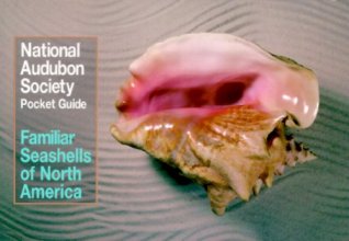 Cover art for National Audubon Society Pocket Guide to Familiar Seashells (Audubon Society Pocket Guides)