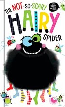 Cover art for The Not So Scary Hairy Spider (Hairy Touch and Feel)