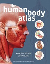 Cover art for The Human Body Atlas: How the human body works