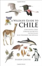 Cover art for A Wildlife Guide to Chile: Continental Chile, Chilean Antarctica, Easter Island, Juan Fernández Archipelago