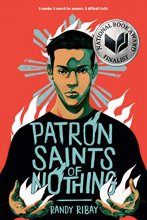 Cover art for Patron Saints of Nothing
