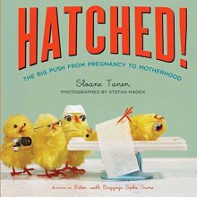 Cover art for Hatched!: The Big Push from Pregnancy to Motherhood