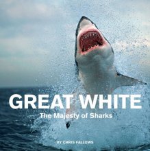 Cover art for Great White: The Majesty of Sharks