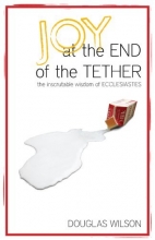 Cover art for Joy at the End of the Tether: The Inscrutable Wisdom of Ecclesiastes