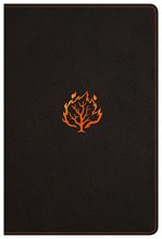 Cover art for I Am Bible, Black LeatherTouch, Indexed