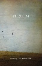Cover art for Pilgrim