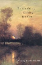 Cover art for Everything Is Waiting for You