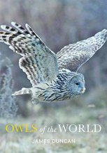 Cover art for Owls of the World
