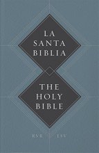 Cover art for ESV Spanish/English Parallel Bible: Paperback (La Santa Biblia RVR / The Holy Bible ESV)