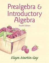 Cover art for Prealgebra & Introductory Algebra