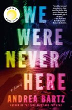 Cover art for We Were Never Here: A Novel